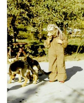 germans and bear recrop