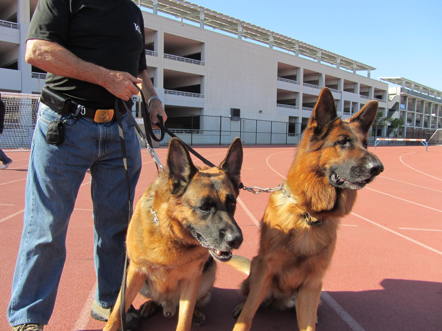 K-9 line up 033